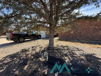 Main picture of 1317 Piedmont Dr