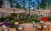 Main picture of The Carlton