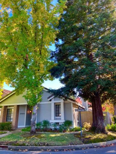 Main picture of 2006 Fernwood Cir