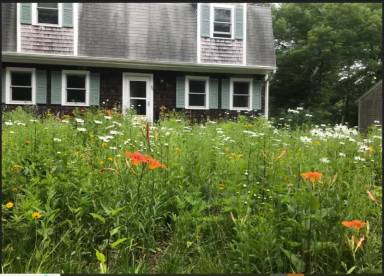 Main picture of 96 Williams Ave