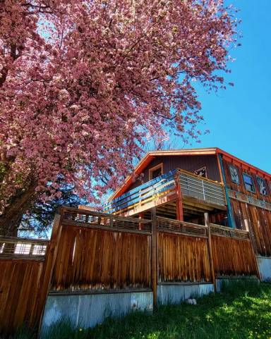 Main picture of 251 Pagosa St