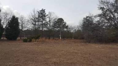 Main picture of 1355 Pisgah Church Rd