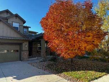 Main picture of 3915 Wild Elm Way