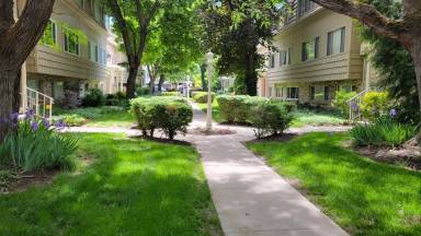 Main picture of Aix La Chapelle Condo