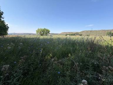 Main picture of 277 Animas River Rd