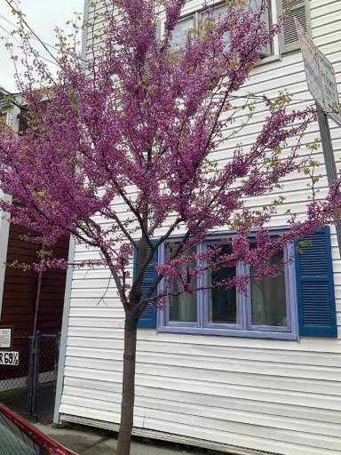 Main picture of 74 Gore St