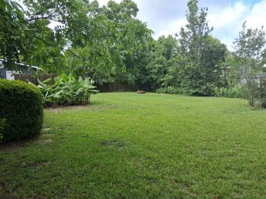Main picture of 3704 Robin Ln
