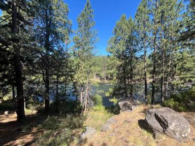 Main picture of 60615 River Bend Dr