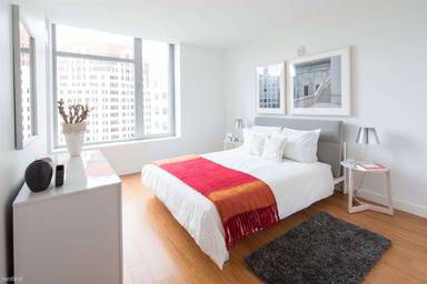 Main picture of Radian