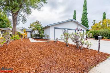 Main picture of 1178 W Olive Ave