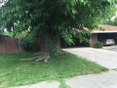 Main picture of 3010 Olive Glen Ct