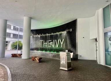Main picture of The Ivy