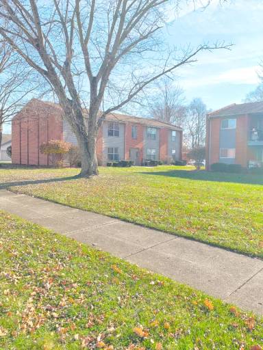 Main picture of 4540 Bonita Dr