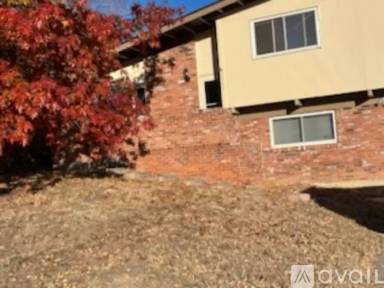 Main picture of 2203 Collier Ave