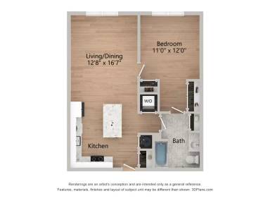 Main picture of Eleven Maple