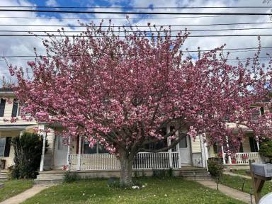 Main picture of 405 Cowgill St