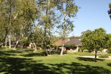 Main picture of 5146 Maple