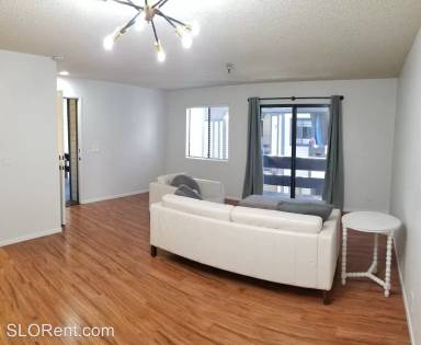 Main picture of 55 Stenner St