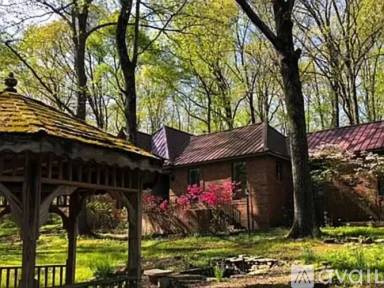 Main picture of 155 Raspberry Cv