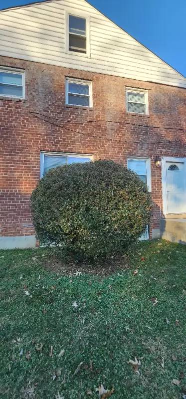 Main picture of 6003 Madison St