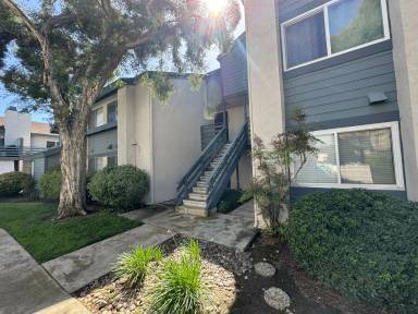 Main picture of 1482 Gustavo St