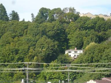 Main picture of Forest View - 100