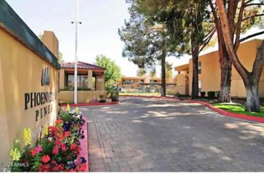 Main picture of Phoenician Pines