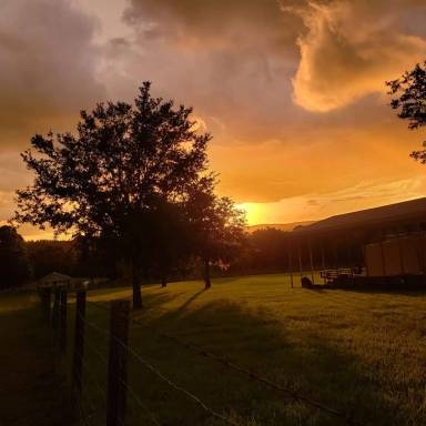 Main picture of 36644 Blanton Rd
