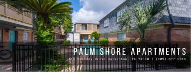 Main picture of Palm Shore
