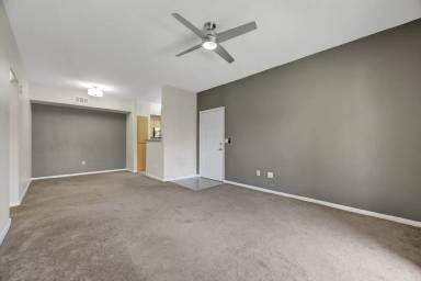 Main picture of Coronado Palms