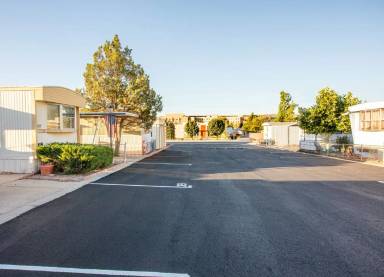 Main picture of Animas Cove
