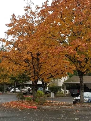 Main picture of Hood Center Apartments