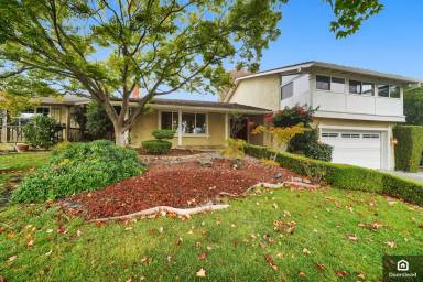 Main picture of 1245 Van Dyck Dr