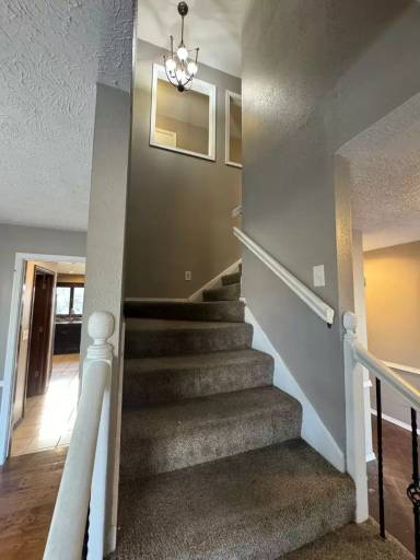 Main picture of 1437 S Forrest Heights Ave