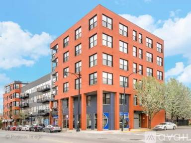 Main picture of 1621 S Halsted St