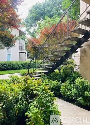 Main picture of Live Oak Apartment Homes