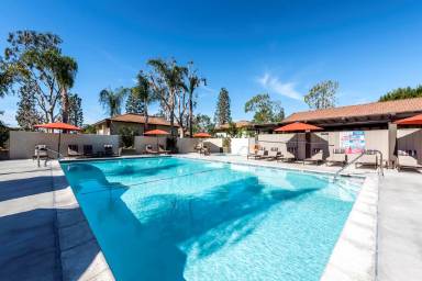 Main picture of Sofi Ventura