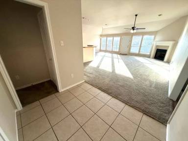 Main picture of 5629 Mustang Trl