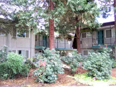 Main picture of Classic Apts - 03