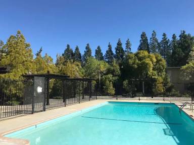 Main picture of 1020 Dolores St