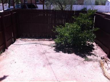 Main picture of 346 E Speedway Blvd