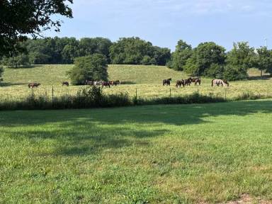 Main picture of 707 S Rustic Rd