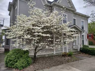 Main picture of 204 W Main St