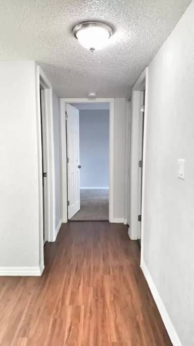 Main picture of 9847 Seminole Blvd