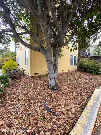 Main picture of 1275 Bonita Ave