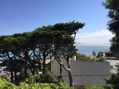Main picture of 101 Sausalito Blvd