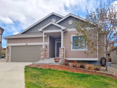 Main picture of 803 Tailings Dr