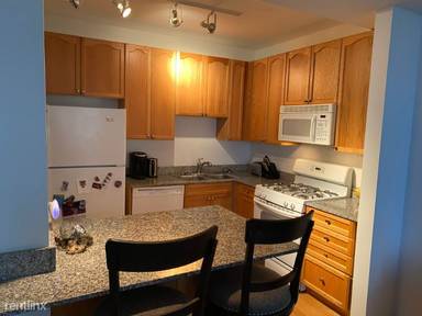 Main picture of Michigan Avenue Tower