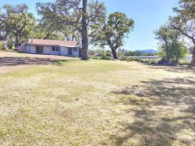 Main picture of 15217 Olympic Dr