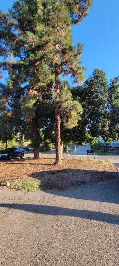 Main picture of 9144 Rosedale Dr